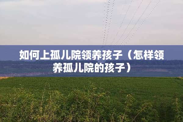 如何上孤儿院领养孩子(怎样领养孤儿院的孩子) 如何上孤儿院领养孩子(怎样领养孤儿院的孩子)