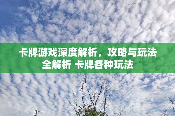 卡牌游戏深度解析,攻略与玩法全解析 卡牌各种玩法 卡牌游戏深度解析,攻略与玩法全解析 卡牌各种玩法