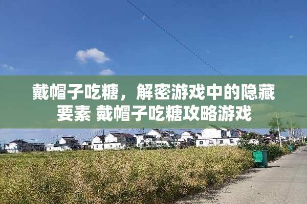 戴帽子吃糖，解密游戏中的隐藏要素 戴帽子吃糖攻略游戏