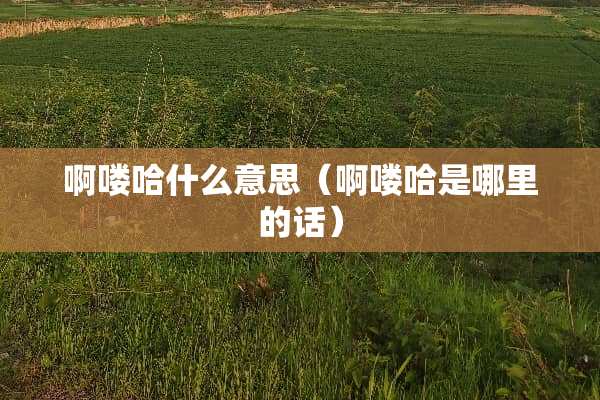 啊喽哈什么意思(啊喽哈是哪里的话) 啊喽哈什么意思(啊喽哈是哪里的话)