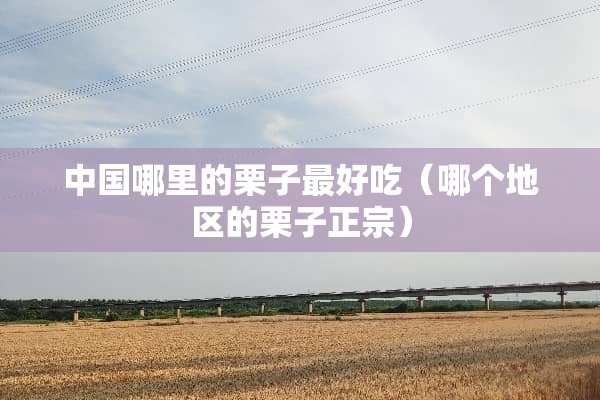 中国哪里的栗子最好吃（哪个地区的栗子正宗）