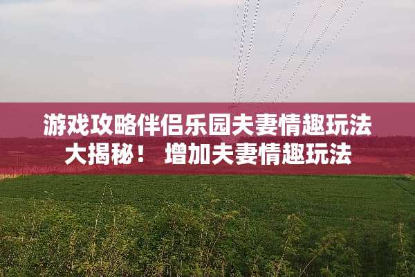 游戏攻略伴侣乐园夫妻情趣玩法大揭秘！ 增加夫妻情趣玩法