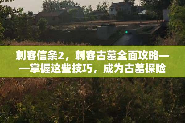 刺客信条2，刺客古墓全面攻略——掌握这些技巧，成为古墓探险的王者 刺客信条2刺客古墓攻略