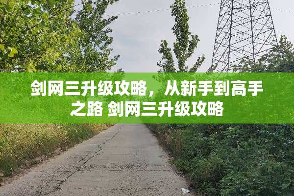 剑网三升级攻略，从新手到高手之路 剑网三升级攻略