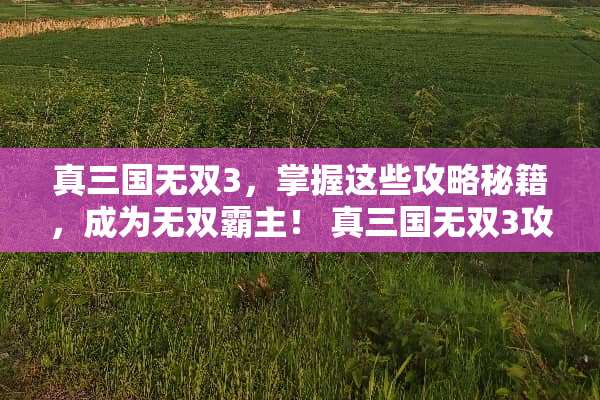 真三国无双3，掌握这些攻略秘籍，成为无双霸主！ 真三国无双3攻略