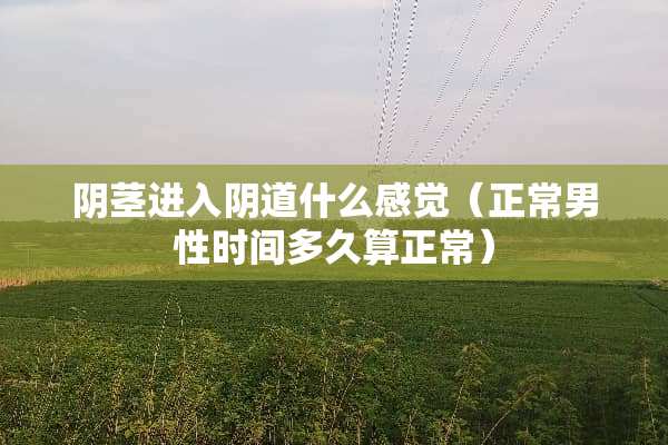 *茎进入*道什么感觉(正常男性时间多久算正常) *茎进入*道什么感觉(正常男性时间多久算正常)