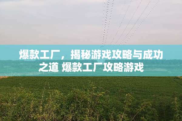 爆款工厂，揭秘游戏攻略与成功之道 爆款工厂攻略游戏