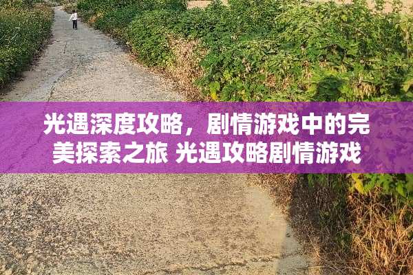 光遇深度攻略，剧情游戏中的完美探索之旅 光遇攻略剧情游戏