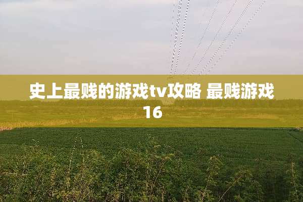 史上最贱的游戏tv攻略 最贱游戏16