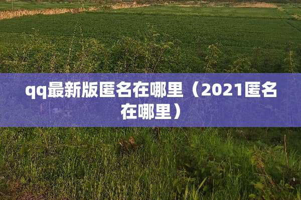 qq最新版匿名在哪里（2021匿名在哪里）
