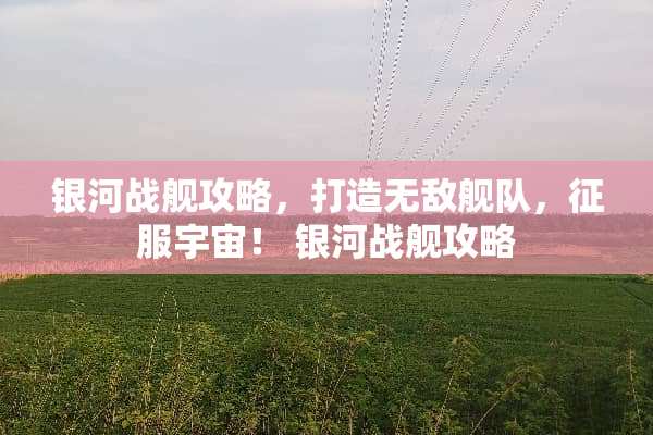 银河战舰攻略，打造无敌舰队，征服宇宙！ 银河战舰攻略