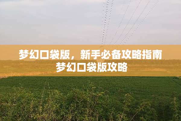 梦幻口袋版，新手必备攻略指南 梦幻口袋版攻略