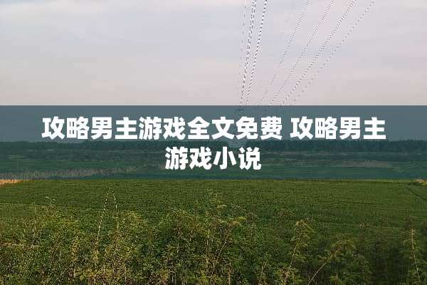 攻略男主游戏全文免费 攻略男主游戏小说