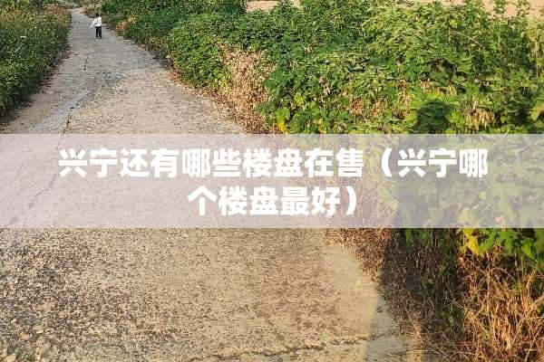 兴宁还有哪些楼盘在售（兴宁哪个楼盘最好）