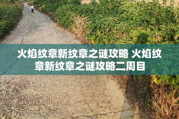 火焰纹章新纹章之谜攻略 火焰纹章新纹章之谜攻略二周目