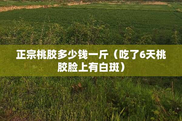 正宗桃胶多少钱一斤（吃了6天桃胶脸上有白斑）