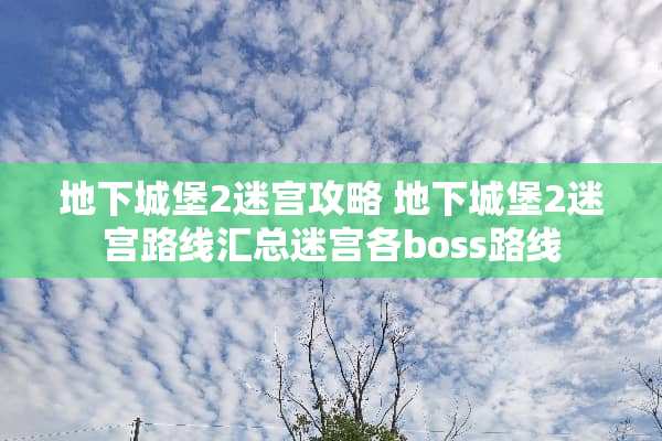 **城堡2迷宫攻略**城堡2迷宫路线汇总迷宫各boss路线