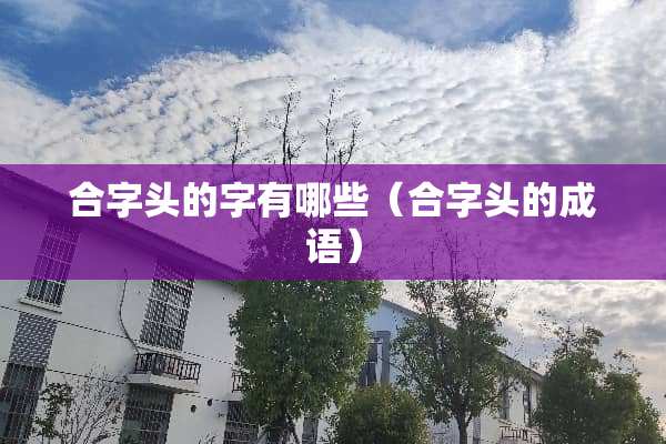 合字头的字有哪些（合字头的成语）