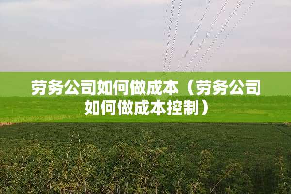 劳务公司如何做成本（劳务公司如何做成本控制）