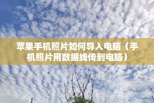 苹果手机照片如何导入电脑（手机照片用数据线传到电脑）