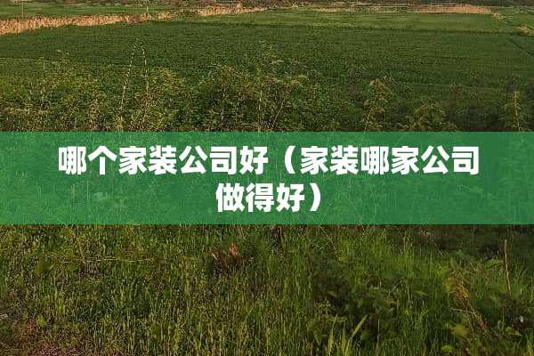 哪个家装公司好（家装哪家公司做得好）