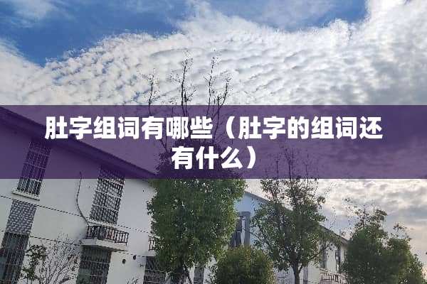 肚字组词有哪些（肚字的组词还有什么）