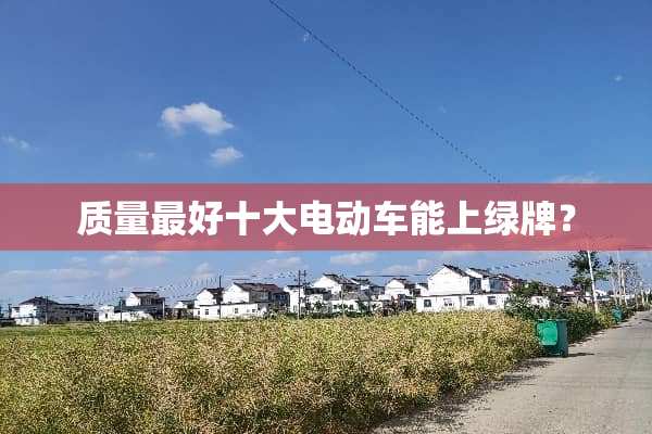 质量最好十大电动车能上绿牌？