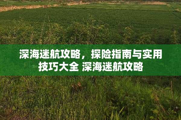 深海迷航攻略,探险指南与实用技巧大全 深海迷航攻略 深海迷航攻略,探险指南与实用技巧大全 深海迷航攻略