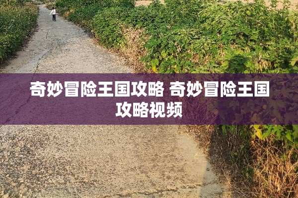 奇妙冒险王国攻略 奇妙冒险王国攻略视频