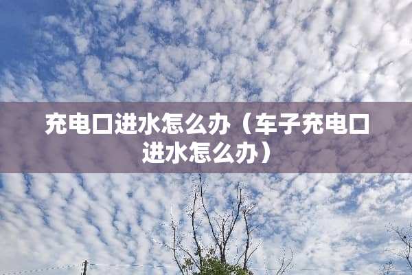 充电口进水怎么办（车子充电口进水怎么办）