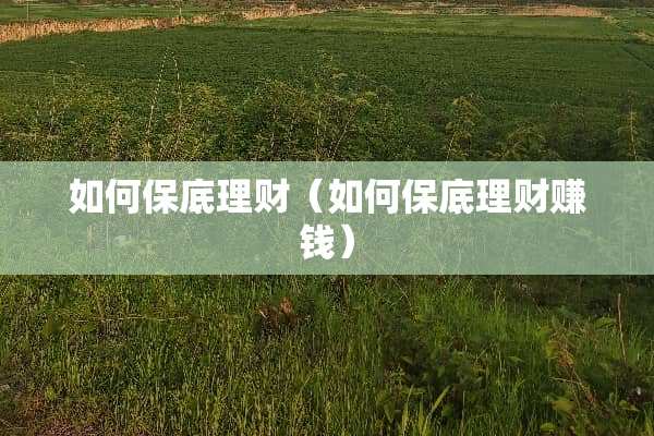如何保底理财（如何保底理财赚钱）
