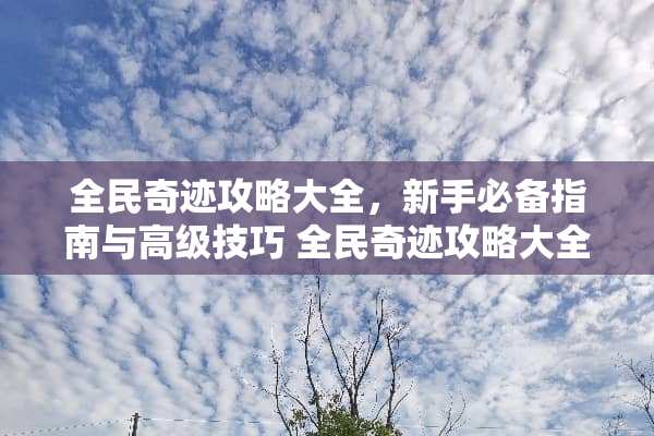 全民奇迹攻略大全，新手必备指南与高级技巧 全民奇迹攻略大全