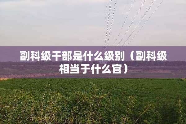 副科级干部是什么级别（副科级相当于什么官）
