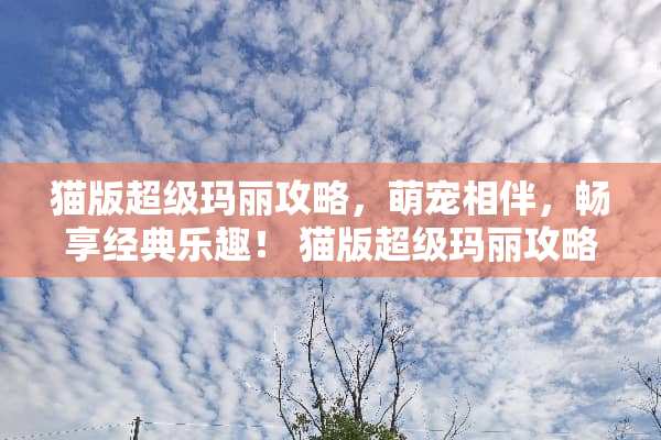 猫版超级玛丽攻略，萌宠相伴，畅享经典乐趣！ 猫版超级玛丽攻略