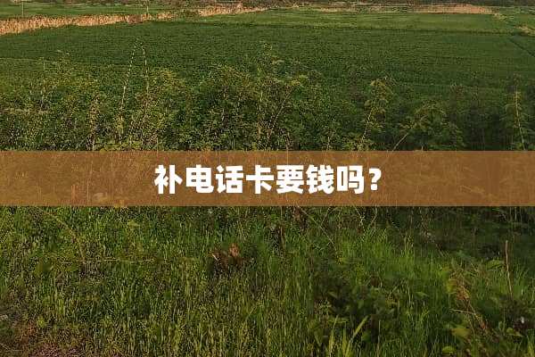 补电话卡要钱吗？