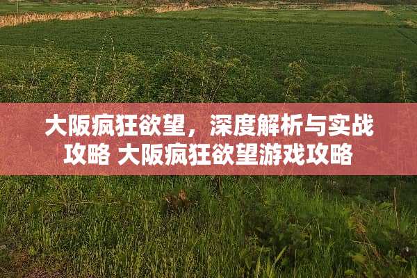 大阪疯狂**，深度解析与实战攻略 大阪疯狂**游戏攻略
