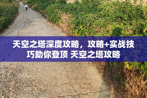 天空之塔深度攻略，攻略+实战技巧助你登顶 天空之塔攻略