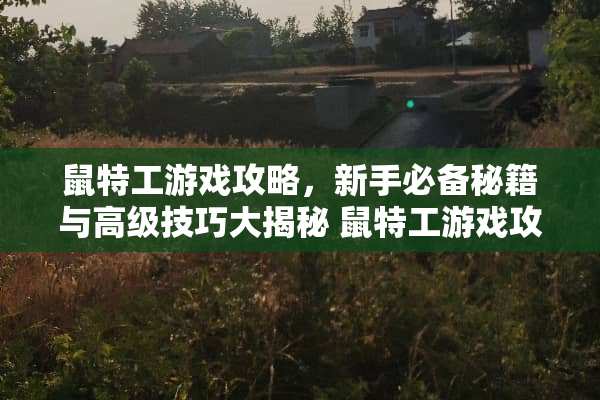 鼠特工游戏攻略,新手必备秘籍与高级技巧大揭秘 鼠特工游戏攻略 鼠特工游戏攻略,新手必备秘籍与高级技巧大揭秘 鼠特工游戏攻略