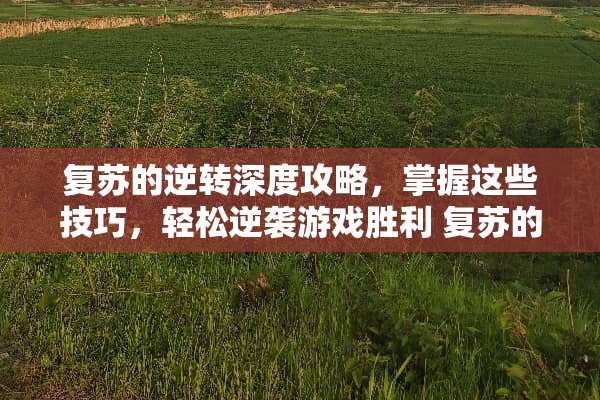 复苏的逆转深度攻略，掌握这些技巧，轻松逆袭游戏胜利 复苏的逆转攻略