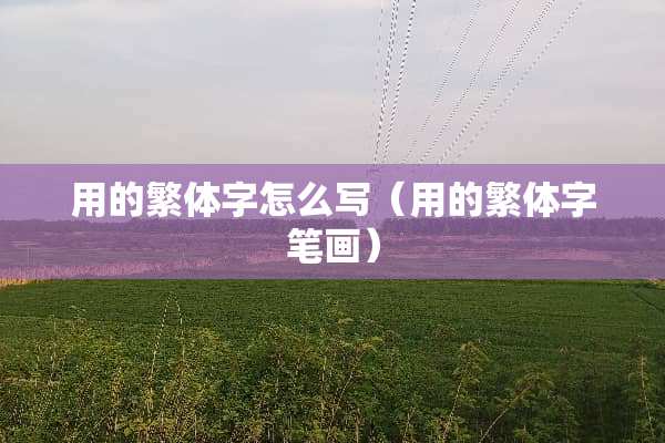 用的繁体字怎么写（用的繁体字笔画）