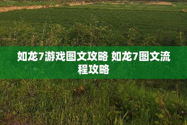 如龙7游戏图文攻略 如龙7图文流程攻略