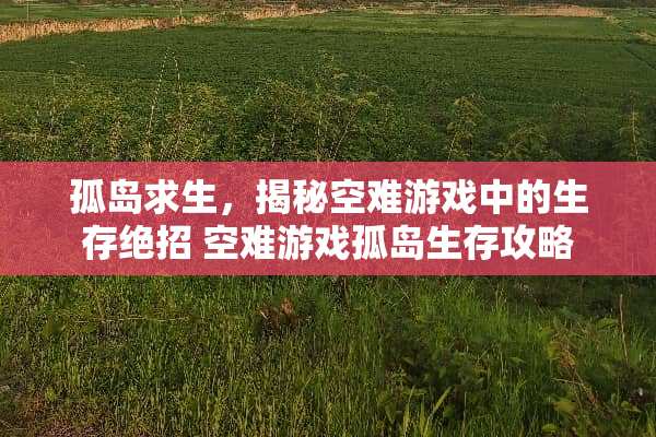 孤岛求生，揭秘空难游戏中的生存绝招 空难游戏孤岛生存攻略
