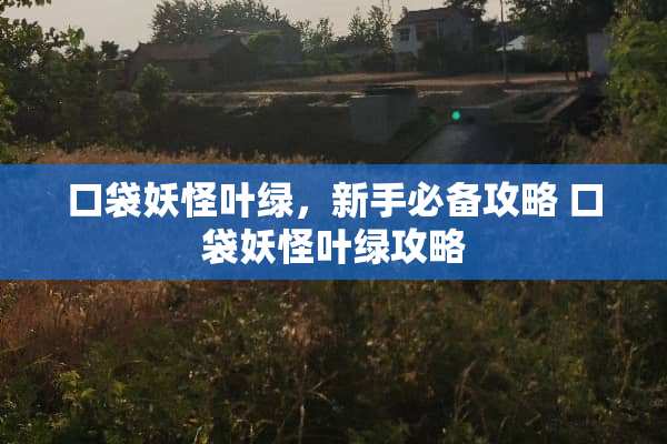 口袋妖怪叶绿，新手必备攻略 口袋妖怪叶绿攻略