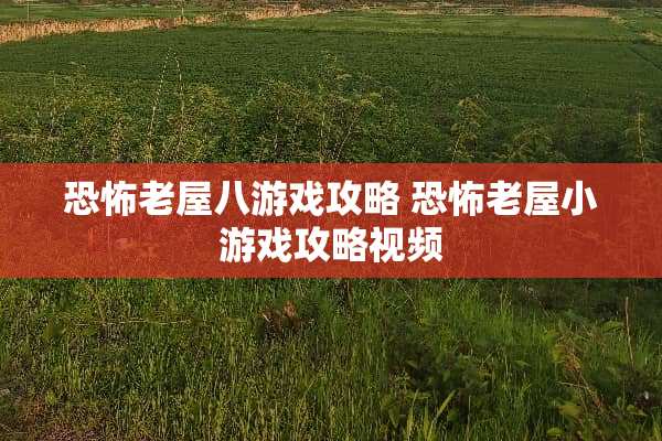 恐怖老屋八游戏攻略 恐怖老屋小游戏攻略视频
