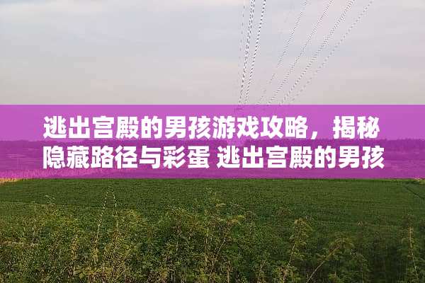 逃出宫殿的男孩游戏攻略，揭秘隐藏路径与彩蛋 逃出宫殿的男孩游戏攻略