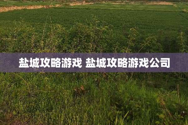 盐城攻略游戏 盐城攻略游戏公司