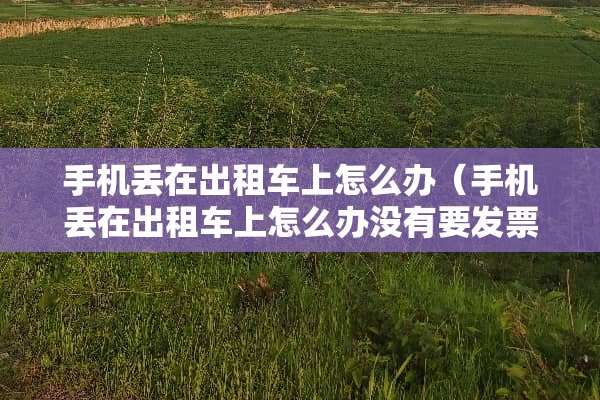 手机丢在出租车上怎么办（手机丢在出租车上怎么办没有要**）