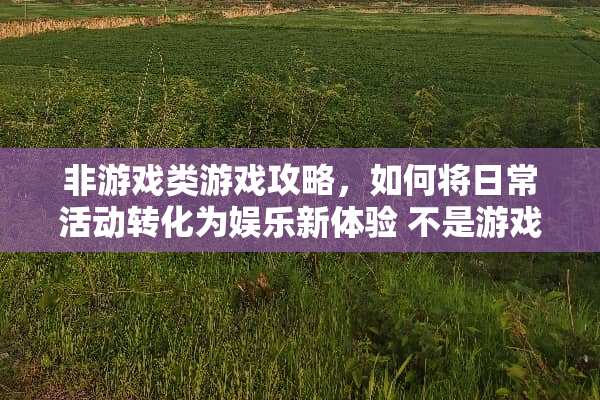 非游戏类游戏攻略，如何将日常活动转化为娱乐新体验 不是游戏的游戏攻略