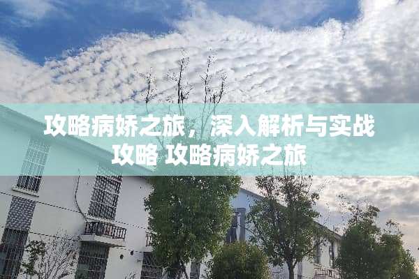 攻略病娇之旅，深入解析与实战攻略 攻略病娇之旅