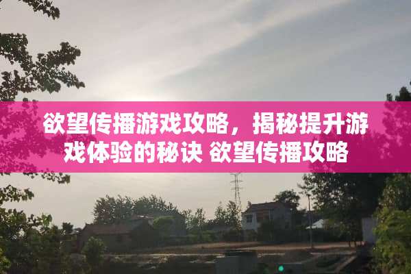 欲望传播游戏攻略，揭秘提升游戏体验的秘诀 欲望传播攻略